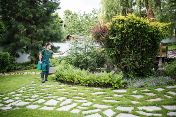 Best Best Pest Control Companies  in Pelican Bay, FL