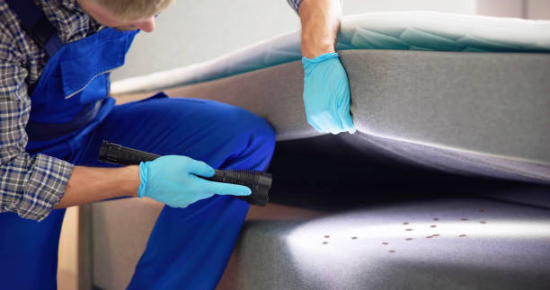Best Pest Prevention Services  in Pelican Bay, FL