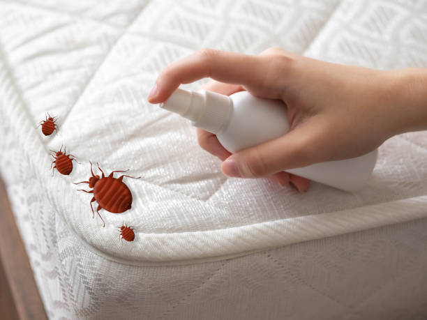 Pelican Bay, FL Pest Control Company