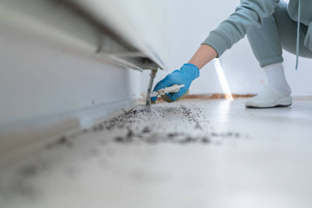 Best Bed Bug Extermination  in Pelican Bay, FL
